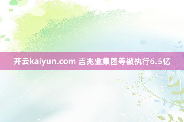 开云kaiyun.com 吉兆业集团等被执行6.5亿