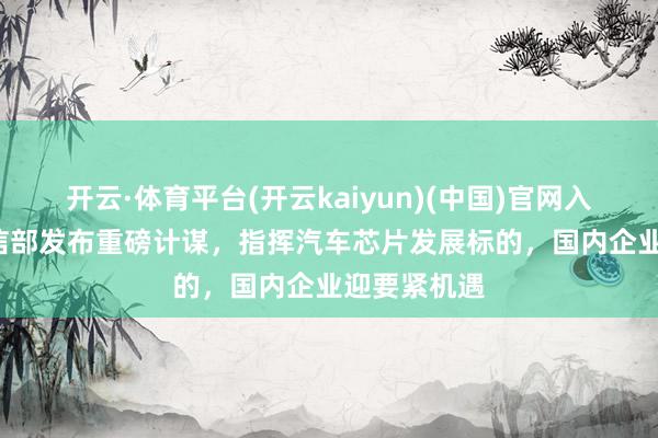 开云·体育平台(开云kaiyun)(中国)官网入口登录  工信部发布重磅计谋，指挥汽车芯片发展标的，国内企业迎要紧机遇