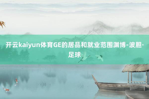 开云kaiyun体育GE的居品和就业范围渊博-波胆·足球