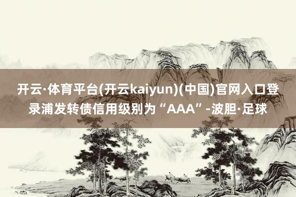 开云·体育平台(开云kaiyun)(中国)官网入口登录浦发转债信用级别为“AAA”-波胆·足球