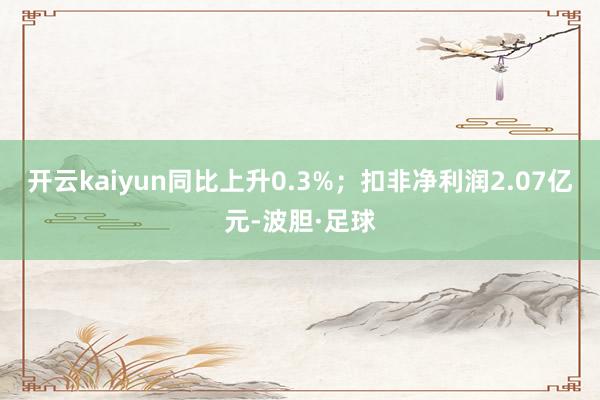 开云kaiyun同比上升0.3%；扣非净利润2.07亿元-波胆·足球