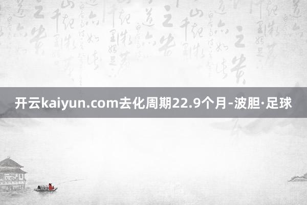 开云kaiyun.com去化周期22.9个月-波胆·足球