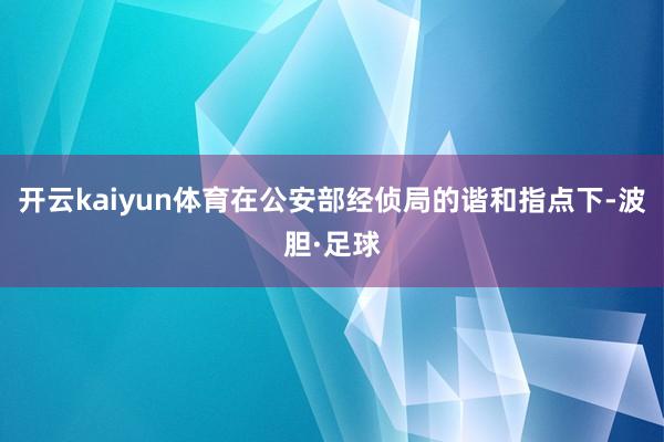 开云kaiyun体育在公安部经侦局的谐和指点下-波胆·足球