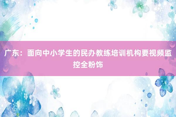 广东：面向中小学生的民办教练培训机构要视频监控全粉饰