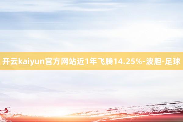 开云kaiyun官方网站近1年飞腾14.25%-波胆·足球