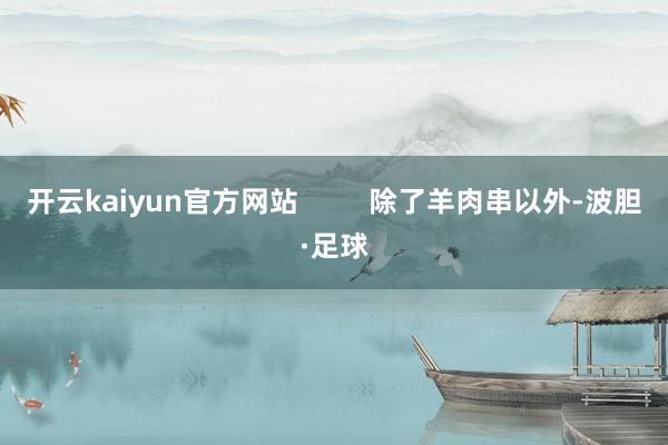 开云kaiyun官方网站         除了羊肉串以外-波胆·足球