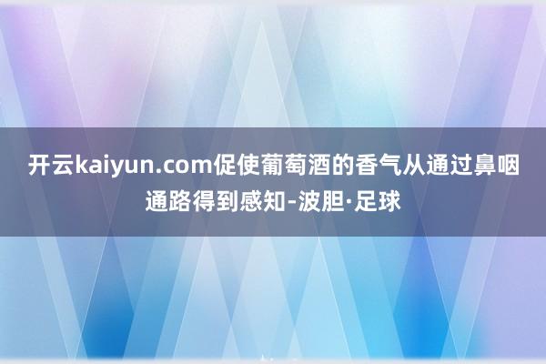 开云kaiyun.com促使葡萄酒的香气从通过鼻咽通路得到感知-波胆·足球