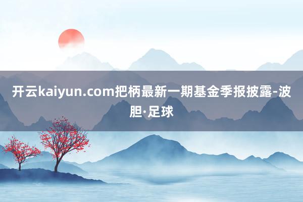 开云kaiyun.com把柄最新一期基金季报披露-波胆·足球