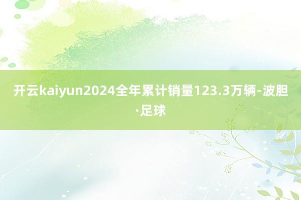 开云kaiyun2024全年累计销量123.3万辆-波胆·足球