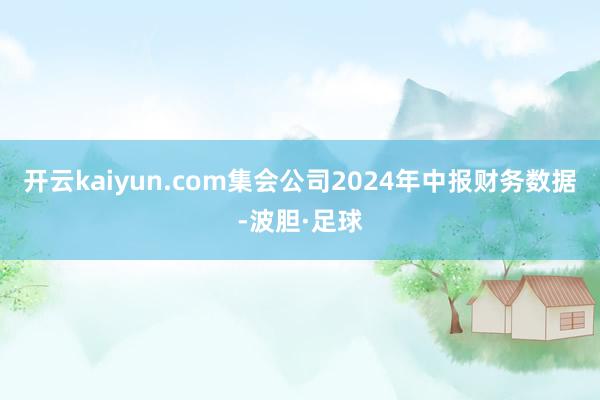 开云kaiyun.com集会公司2024年中报财务数据-波胆·足球