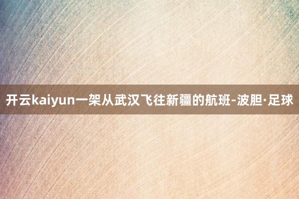 开云kaiyun一架从武汉飞往新疆的航班-波胆·足球